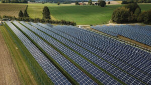 A solar farm surrounded by trees