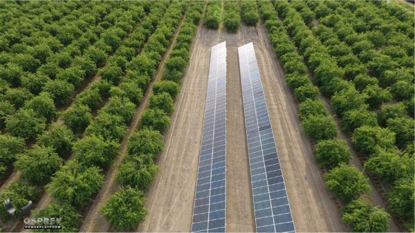 Close up photo of Osprey PowerRack™ mounting system at the BR Samran Farms Madera.